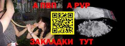 спиды Аргун