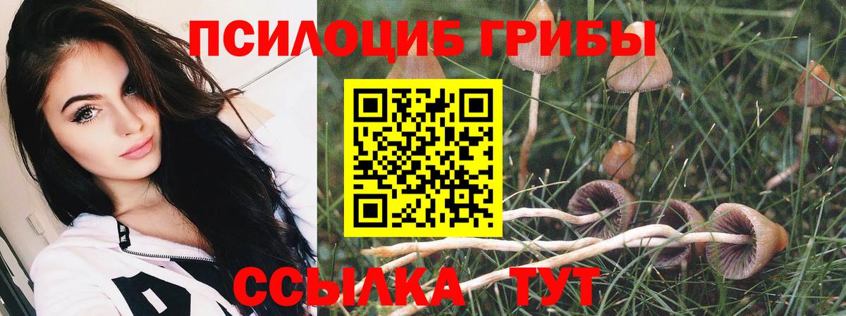 Галлюциногенные грибы мицелий  Галлюциногенные грибы MAGIC MUSHROOMS  Вход с VPN  Вятские Поляны 